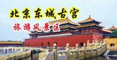 淫乱骚屄浪女中国北京-东城古宫旅游风景区